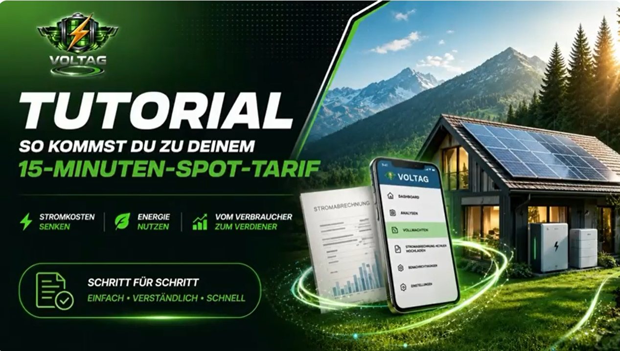VOLTAG Erklärgrafik Referenz